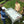 René Pierre Tahiti Outdoor Four-Player Foosball Table